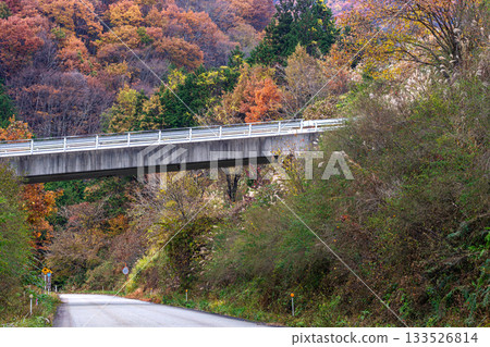 251113 岩瀧隧道 g018 133526814