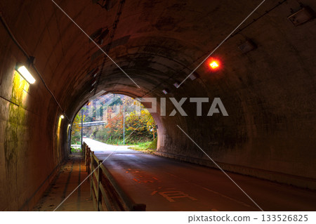 251113 Iwataki Tunnel z054 133526825