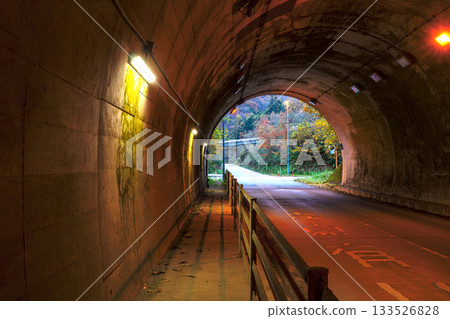 251113 Iwataki Tunnel z061 133526828