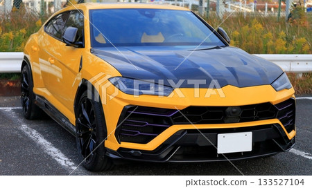 義大利跑車 133527104