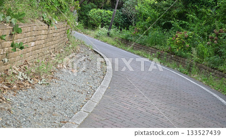 A promenade 133527439