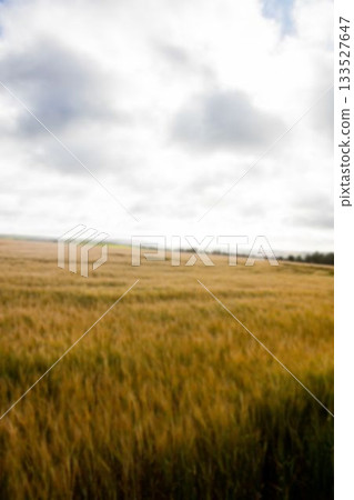 Agriculture land against sky 133527647