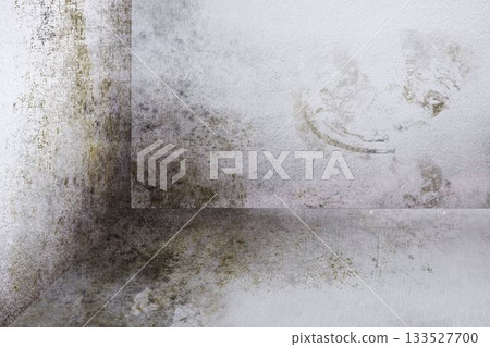 Moldy stained room corner is showing flat design interior scene, with peeling plaster and grime Moldy stained room corner is showing flat design interior scene, with peeling plaster and grime 133527700
