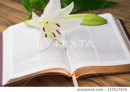 White flower on open bible 133527870