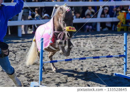 Shinozaki Ponyland, Edogawa Ward, Tokyo, 50th Anniversary Pony Festival, Ohagi Performance Shinozaki Ponyland, Edogawa Ward, Tokyo, 50th Anniversary Pony Festival, Ohagi Performance 133528645