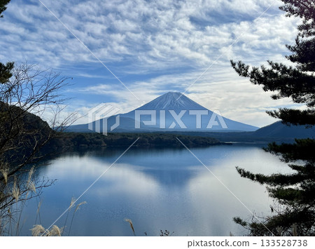 從本棲湖眺望冬日富士山,羊雲繚繞。 從本棲湖眺望冬日富士山,羊雲繚繞。 133528738