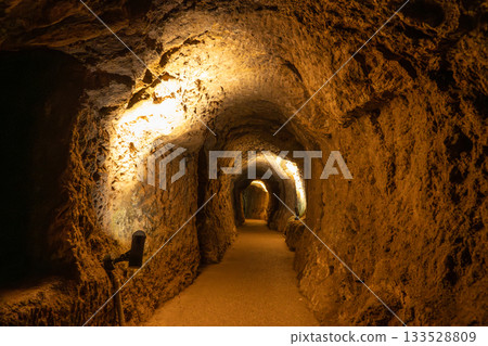 Iwami Ginzan畫廊 133528809