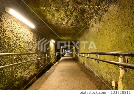 Iwami Ginzan畫廊 133528811