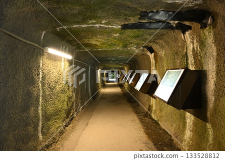 Iwami Ginzan畫廊 133528812