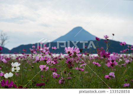 Southern Kyushu scenery 133528858