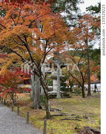 南禪寺 2025 年秋季 133529225