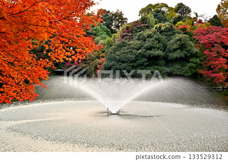 高岡城公園的秋葉，以及噴泉美景 133529312