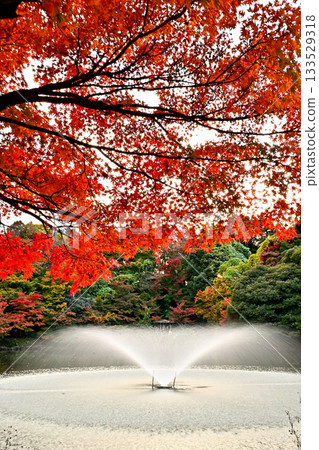高岡城公園的秋葉，以及噴泉美景 133529318
