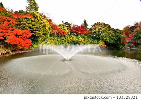 Autumn leaves at Takaoka Castle Park, scenery with a fountain Autumn leaves at Takaoka Castle Park, scenery with a fountain 133529321