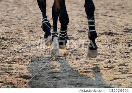 A close-up of a running horse's hoof, filmed at high speed with motion blur. Shallow depth of field. A close-up of a running horse's hoof, filmed at high speed with motion blur. Shallow depth of field. 133529491