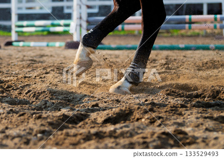 A close-up of a running horse's hoof, filmed at high speed with motion blur. Shallow depth of field. 133529493