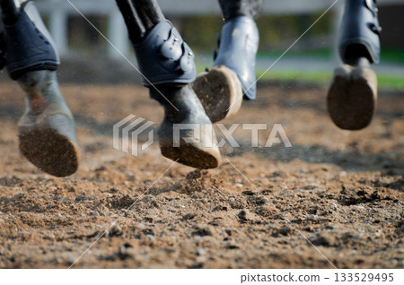 Close-up of a horse's hooves wearing protective joint braces during a show jumping competition. A horse galloping at high speed Close-up of a horse's hooves wearing protective joint braces during a show jumping competition. A horse galloping at high speed 133529495