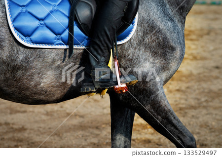Equestrian leg in stirrup, riding attire, close-up. Dressage. Horseback riding school background Equestrian leg in stirrup, riding attire, close-up. Dressage. Horseback riding school background 133529497
