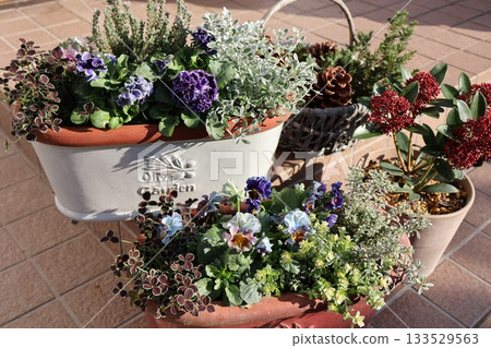 Flower arrangements and pots in front of the entrance Flower arrangements and pots in front of the entrance 133529563
