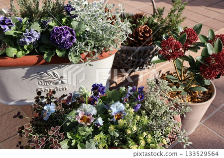 Flower arrangements and pots in front of the entrance 133529564