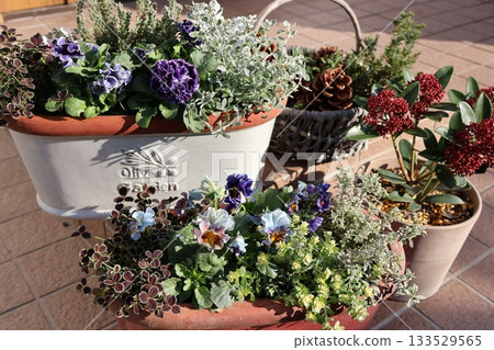 Flower arrangements and pots in front of the entrance Flower arrangements and pots in front of the entrance 133529565