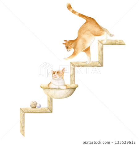 Orange cats climbing on stairs watercolor illustration isolated on white. Ginger funny pet games with toys. Domestic animal clip art for pet stores, shelters and adoption centers 133529612