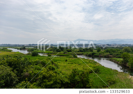 Blue sky and green trees 133529633