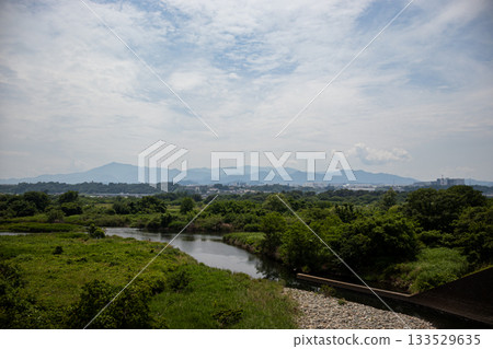Blue sky and green trees Blue sky and green trees 133529635