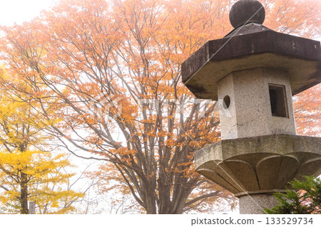 251116 北山公園 z002 251116 北山公園 z002 133529734