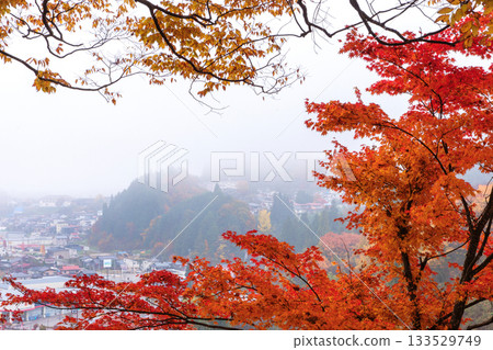 251116 北山公園 z049 133529749