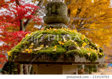 251116 北山公園 z112 133529763