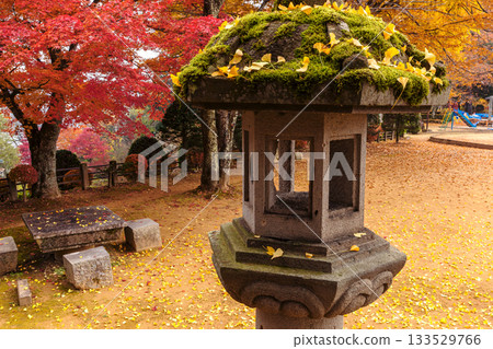 251116 北山公園 z121 133529766