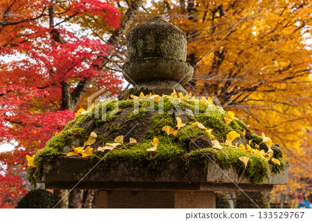 251116 北山公園 z125 133529767