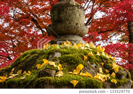 251116 北山公園 z133 133529770