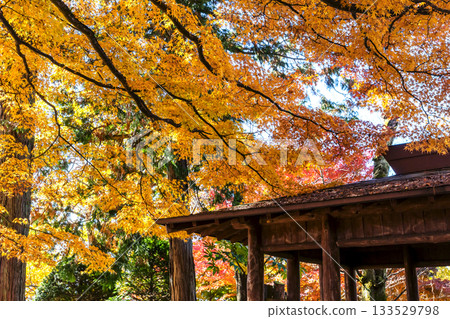 251116 北山公園 z222 133529798