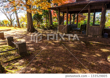 251116 Kitayama Park z236 251116 Kitayama Park z236 133529805