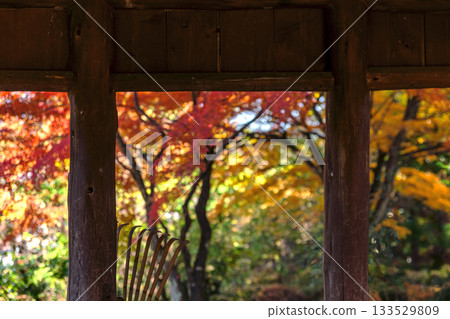 251116 北山公園 z249 133529809