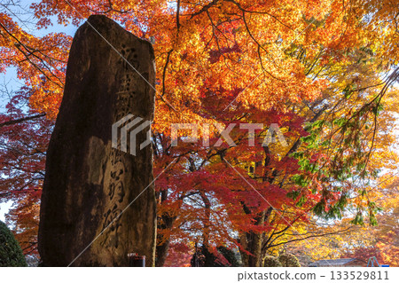 251116 北山公園 z258 133529811