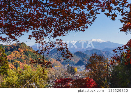 251116 北山公園 z293 251116 北山公園 z293 133529830