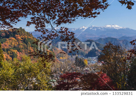 251116 北山公園 z294 133529831