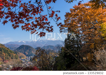 251116 北山公園 z299 133529832