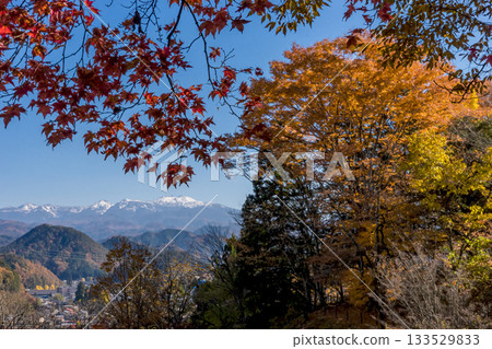 251116 北山公園 z304 133529833