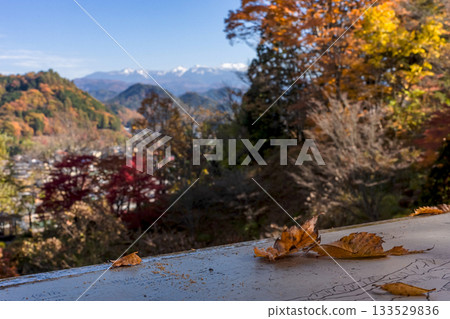 251116 北山公園 z319 251116 北山公園 z319 133529836