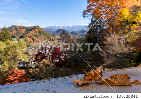 251116 北山公園 z332 133529841