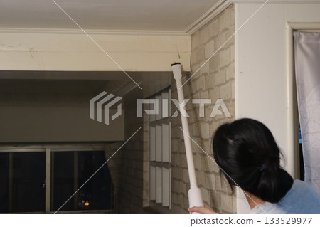 The woman dusted the corners of the ceiling. 133529977