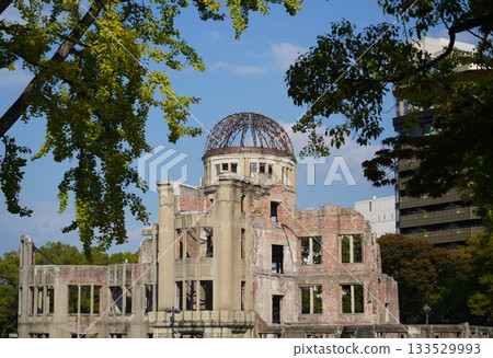 The Peace Dome in harmony with the trees 133529993