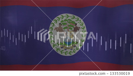 Displaying Belize national flag featuring coat of arms on digital display, with vertical audio bars 133530019