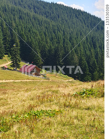 Cozy Carpathian village on a sunny summer day. Traditional houses among green meadows 133530309