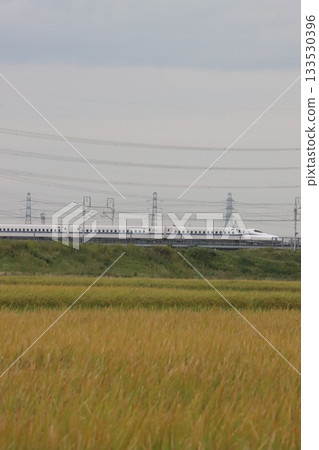 秋日鄉村景色和簇生朱頂紅 133530396