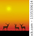deer, silhouette, sunset 133530614